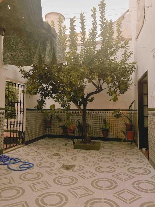La Casa De Manolita Villa Baena Eksteriør billede